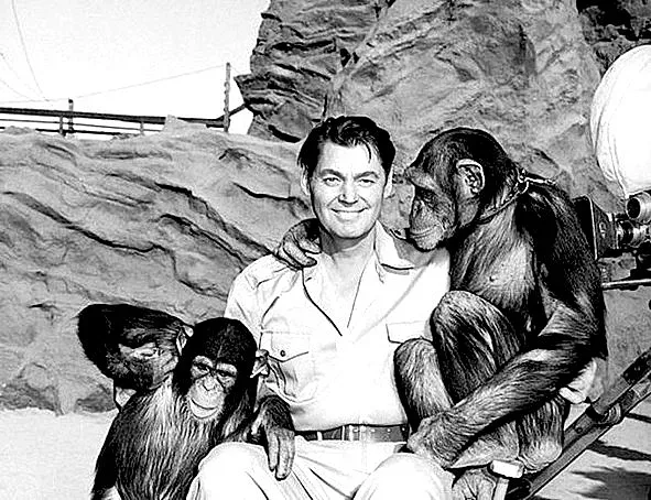 Джони Вайсмюлер счупи рекорди, докато преплува реката на славата