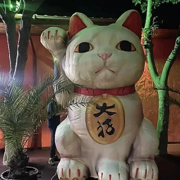 Котка на късмета носи щастие в Созопол