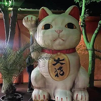 Котка на късмета носи щастие в Созопол