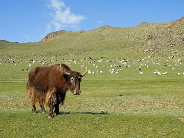 Слънчев ден с високи температури в четвъртък