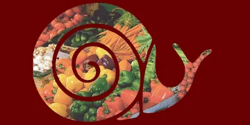 Бавното хранене ще ни спаси, експерт разкри вековни тайни