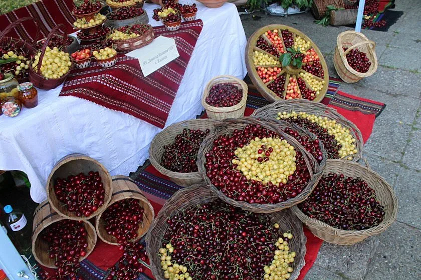Уникален празник на черешата, пият ракия на корем (СНИМКИ)