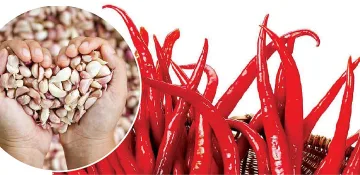 Чесън и люти чушки - мехлем за сърцето