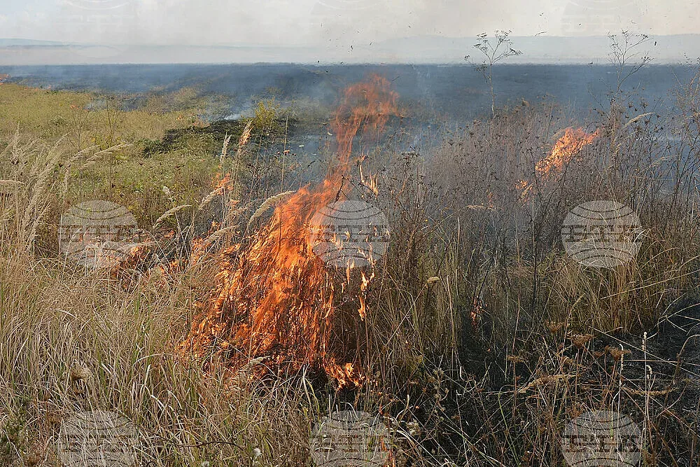 Горят ниви в Бойчиновци