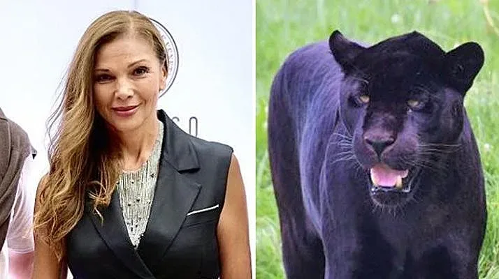 Юлияна Дончева с важно разкритие за собственика на пантерата