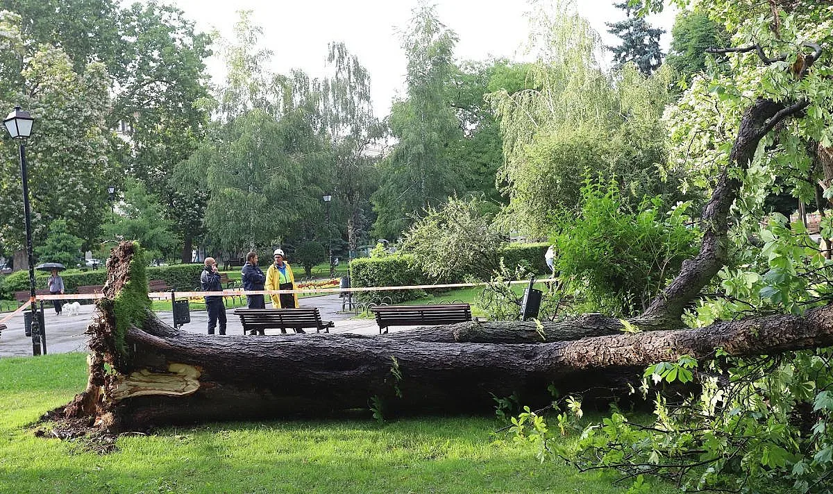 Ужасен инцидент в София! Има ли пострадали