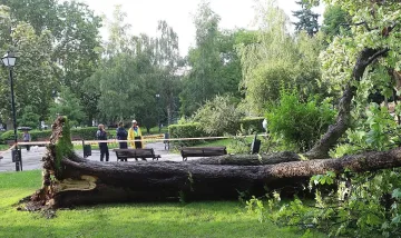Ужасен инцидент в София! Има ли пострадали