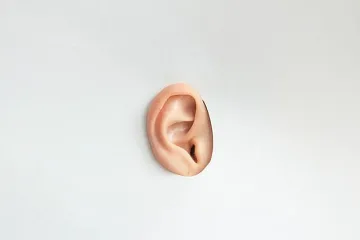 Революция! Присадиха първо 3D отпечатано ухо от човешки клетки