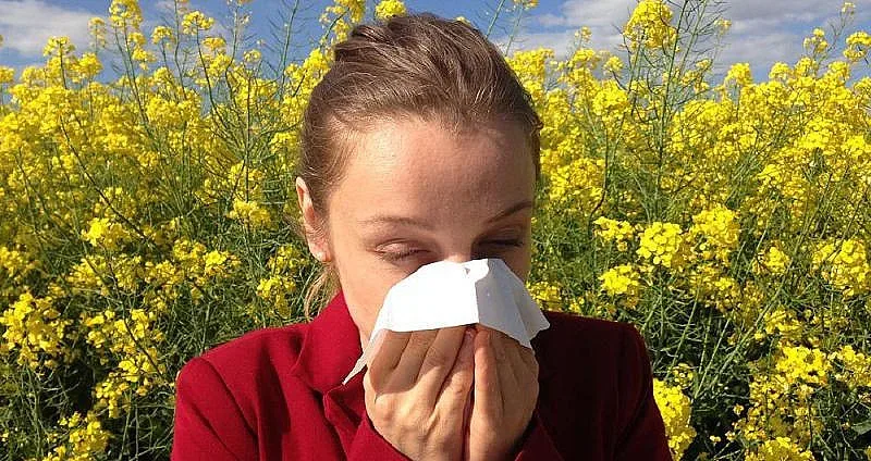 Откриха нова опасност от сезонните алергии, има ли лечение