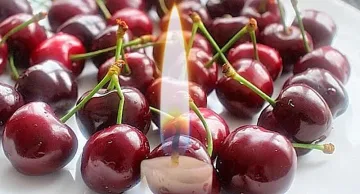 Черешова задушница e. Какво трябва да правим?