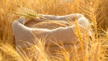 Италия предупреди: Милиони хора могат да умрат