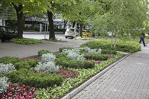 Хиляди нови цветя разкрасиха старозагорски паркове