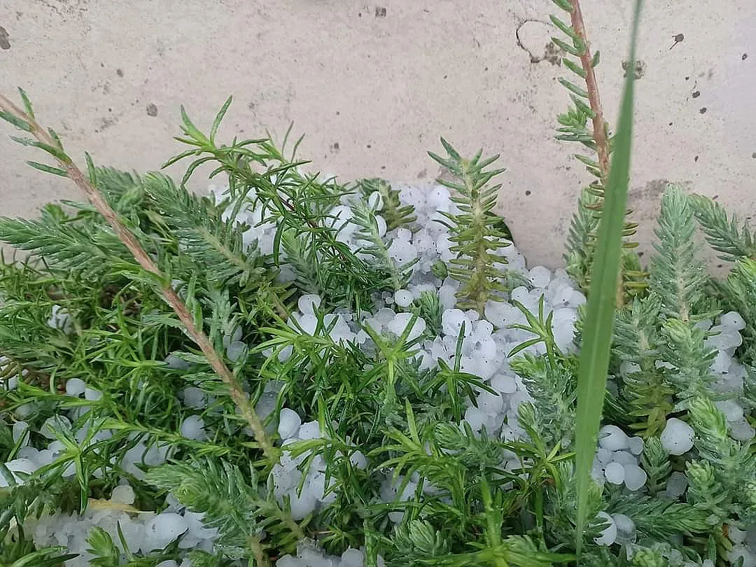 Кошмарна градушка разплака хората в Садово