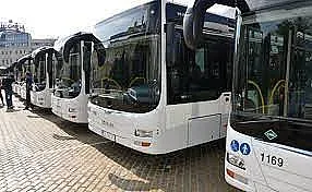 Защо останаха празни автобусите за украински бежанци