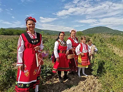 Насладете се на ароматните розови утрини в Казанлък