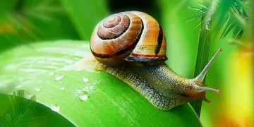 Тежък майски ден, жълт код от синоптиците