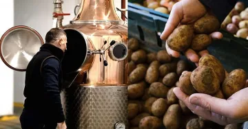 Въвеждат ли сух режим? Британците правят пиячка от картофи