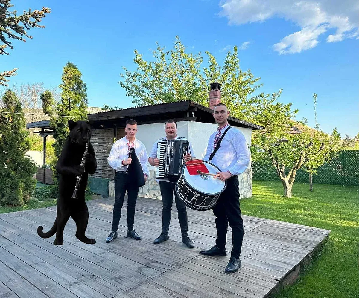 Създадоха песен за пантерата от Шумен /ВИДЕО/