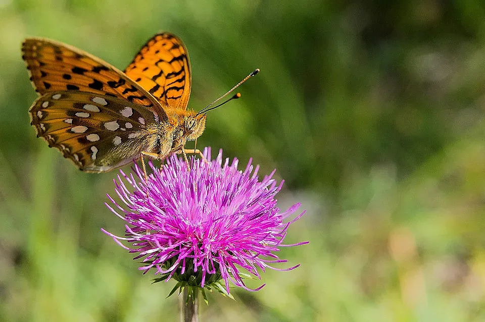 Слънчево и топло време, с изненади в следващите дни