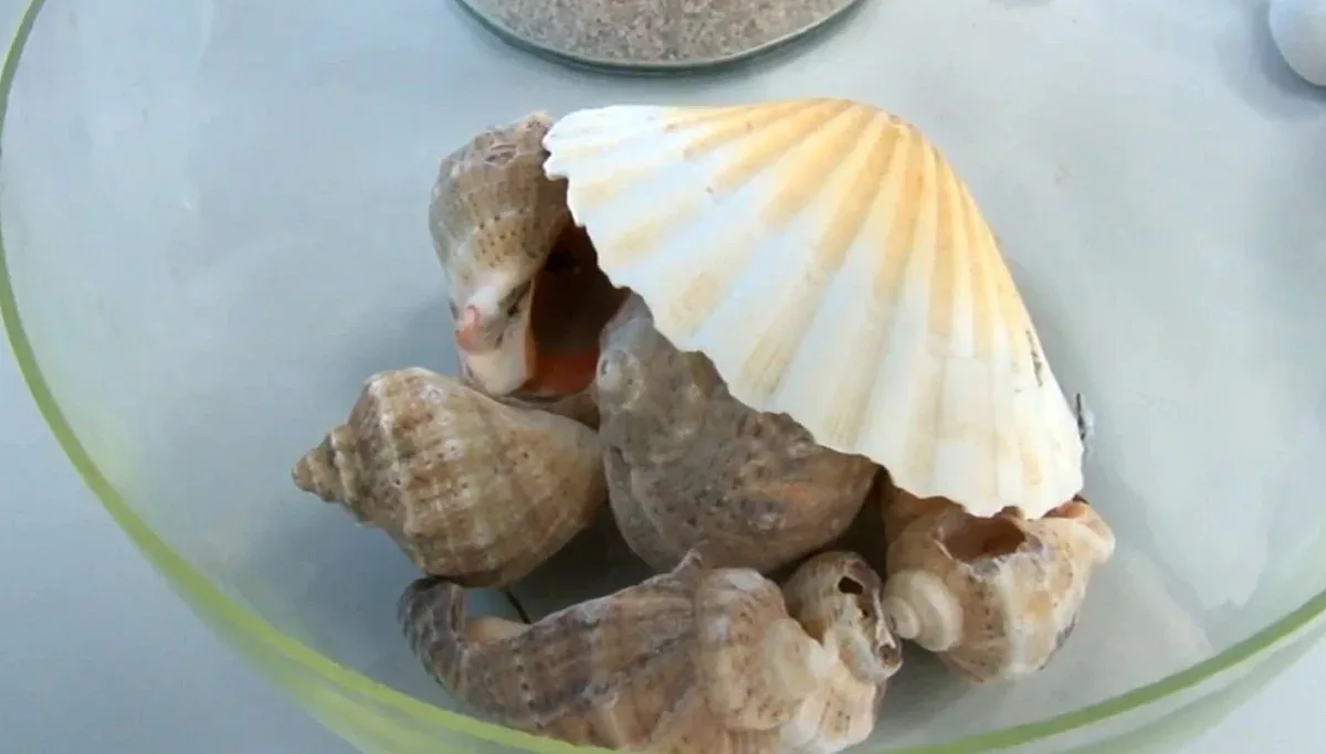 Голямо откритие в Бургас! Наши медици смълчаха колегите си