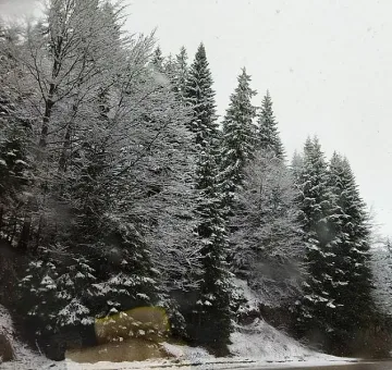 Изненада ни майски сняг