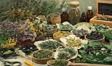 Тази рецепта прави чудеса с бъбреците