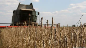 Изненада с пшеницата, след като Русия се върна в сделката
