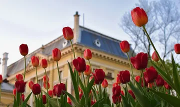 Времето ще е топло за април, но се задава захлаждане