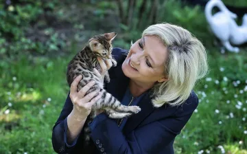 Марин Льо Пен избра да бъде котка, Макрон остана куче