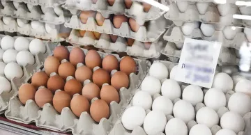 Великденско чудо! Яйца за без пари подлудиха пазара