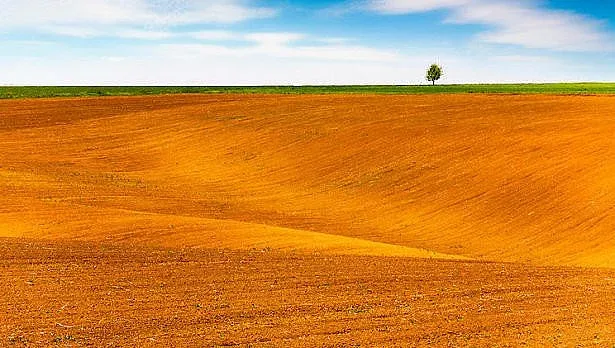 Цената на нивите в Добруджа счупи всички рекорди