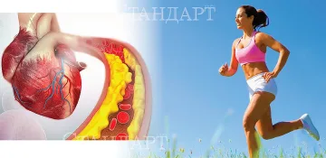 Лекар! Холестеролът ви рязко ще спадне, ако ядете тази ядка