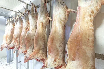 Скъпото агнешко ни отказва от семейната сбирка