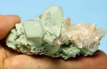 Тайната на родопското дълголетие