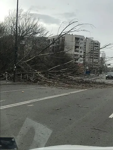 Голяма опасност долита от Африка! Лудо време през април
