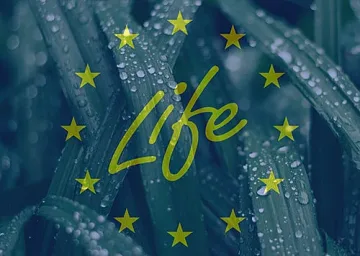 Община Казанлък сред първенците по зелени политики