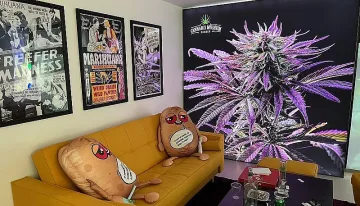 Властите в шок! Музей на канабиса срещу полицейски участък