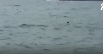 Има ли действащи мини у нас? Ключово изявление