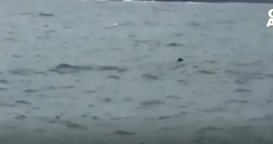 Има ли действащи мини у нас? Ключово изявление