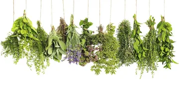 Четири мита за билките