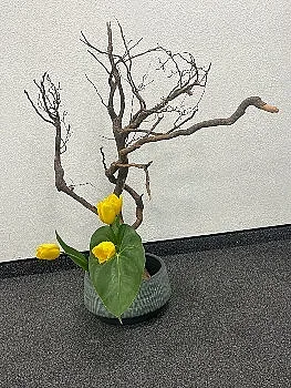 Хотел Маринела показа “Диханието на пролетта”