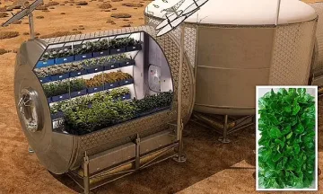 Учени са създали космическа салата, която подхранва костите