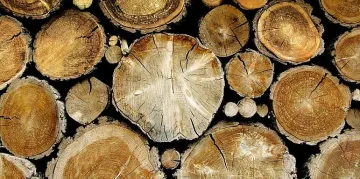 Нов удар за бизнеса. Шпертплатът изчезна