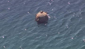 Експерт успокои за морските мини, далече ще са