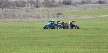 Фермерите чакат подкрепа за ток и торове от ЕС