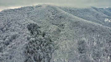 Няма край! Какво време носи у нас циклон от Украйна