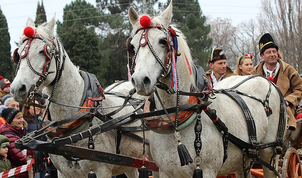 Тодоровден е! Защо не се яде зелен лук