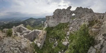 Устра - израстнала от камъка и пожалена от времето