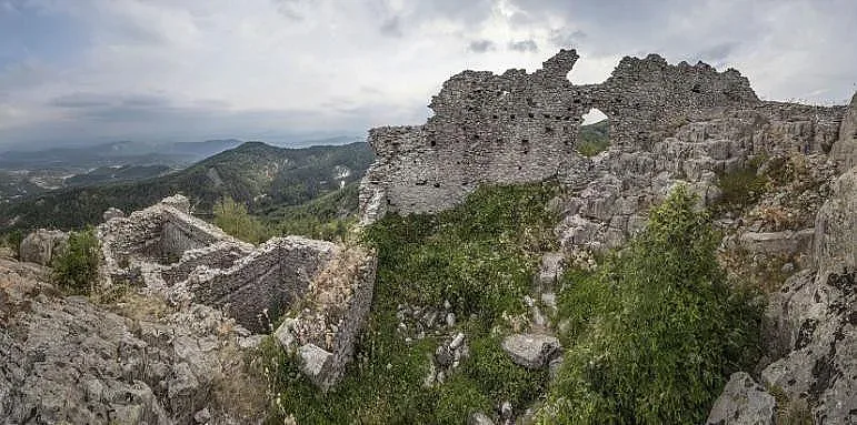 Устра - израстнала от камъка и пожалена от времето