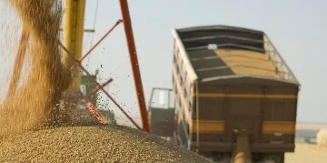 Изкупуването на житото засекретено /ДОПЪЛНЕНА/